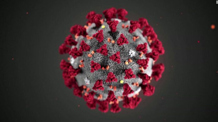 what-you-need-to-know-about-coronavirus-today