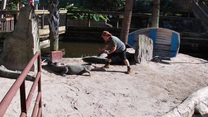 florida-man-sings-to-relax-anxious-gators-during-pandemic
