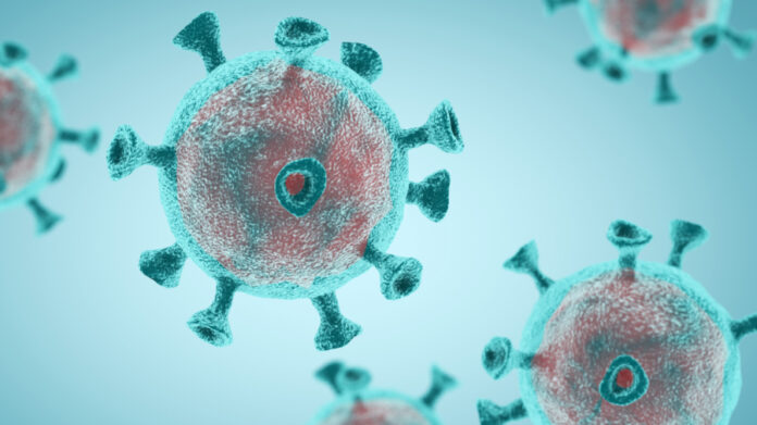 florida-surpasses-new-york-in-total-coronavirus-cases