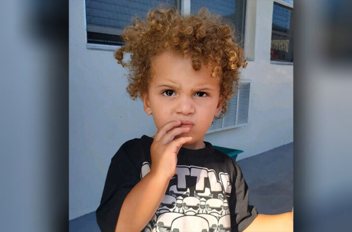 police-search-for-guardian-of-toddler-found-wandering-alone-in-florida