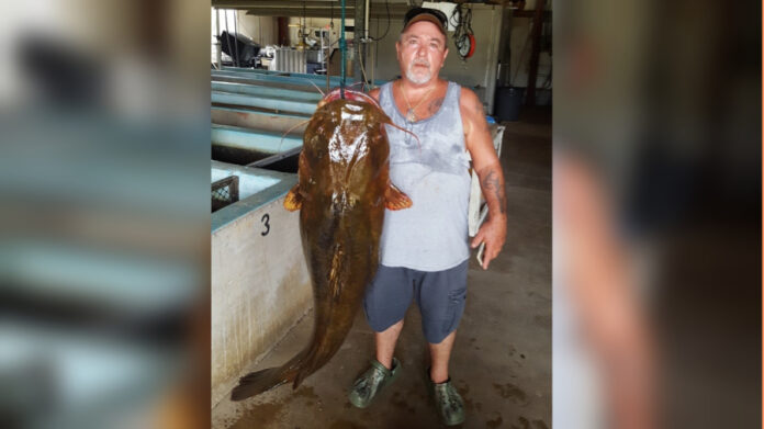 florida-man-catches-record-setting-flathead-catfish