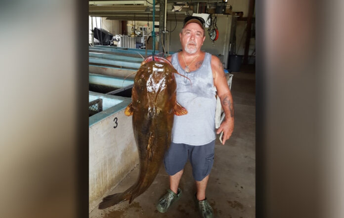 florida-angler-breaks-state-record-with-69.9-pound-flathead-catfish