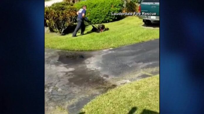 florida-firefighters-treat-80-year-old-suffering-from-heat-exhaustion,-mow-his-lawn