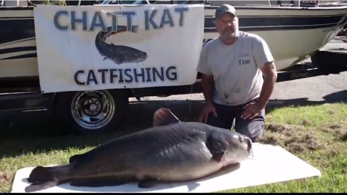 ‘it-was-surreal’:-florida-man-breaks-georgia-fishing-record-with-110-pound-catfish