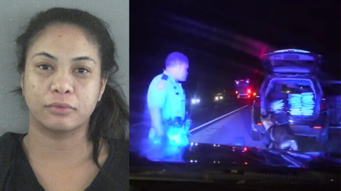 woman-arrested-on-florida’s-turnpike-with-44-lbs-of-marijuana-in-her-trunk,-fhp-says
