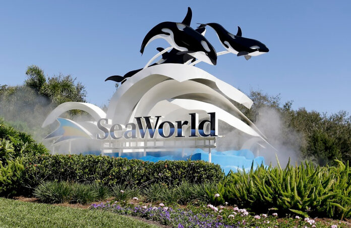 seaworld-theme-parks-suffer-$79-million-in-losses