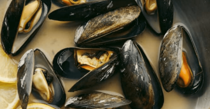 how-to-cook-steamed-mussels