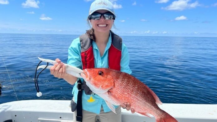 red-snapper-season-set-to-start-in-gulf,-florida-waters